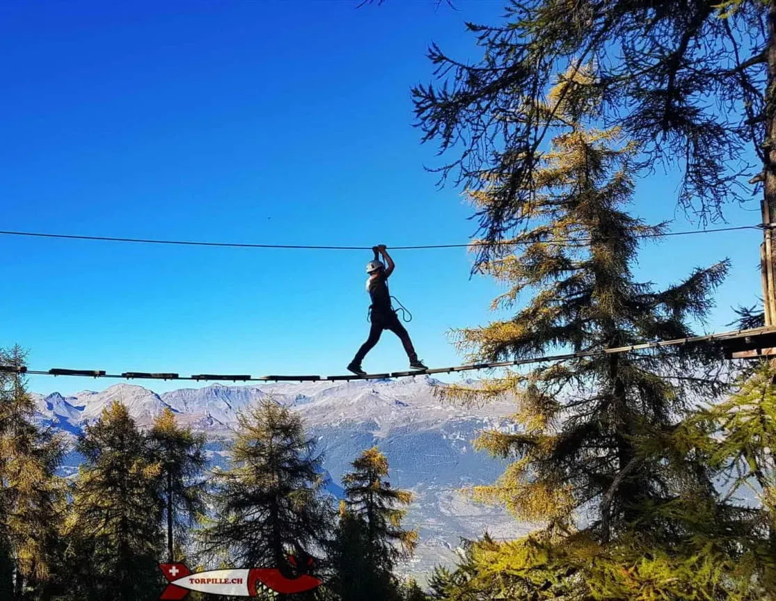 Un enfant en baudrier progresse sur un parcours d'accrobranche entre les arbres