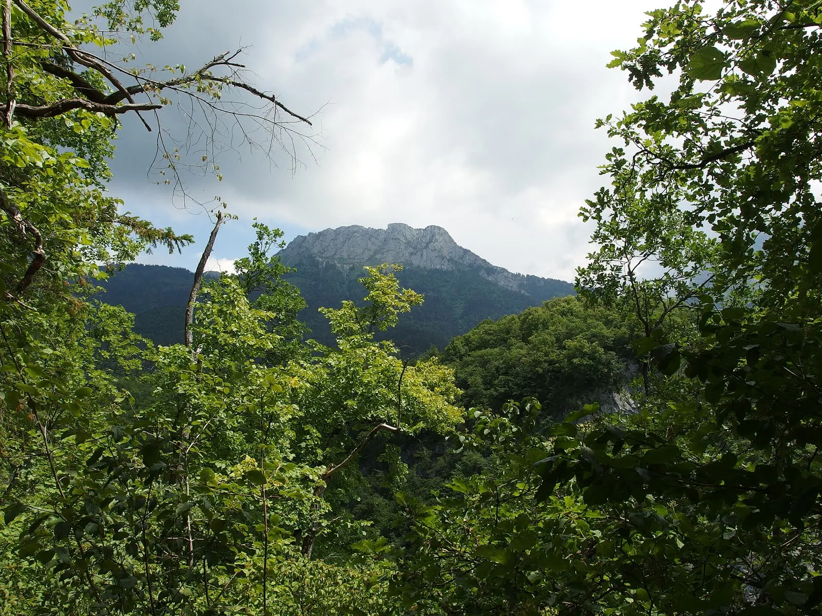 Le sentier d'approche en sous-bois qui mène aux gorges d'Angon, au-dessus de Talloires