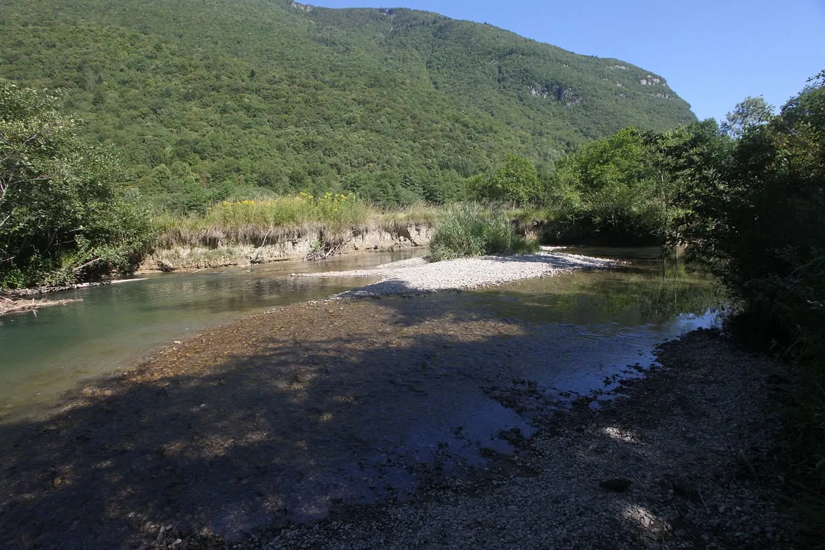 La réserve naturelle du Bout du lac d'Annecy, à Doussard