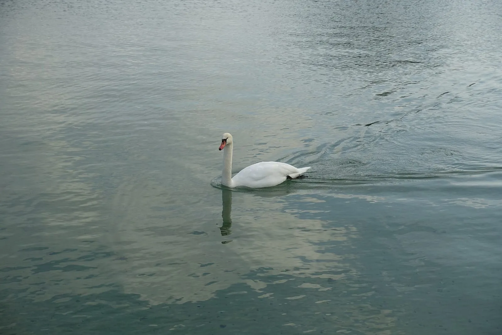 Le Pâquier et le lac d'Annecy depuis la promenade, où se tient la principale scène de la Fête de la Musique