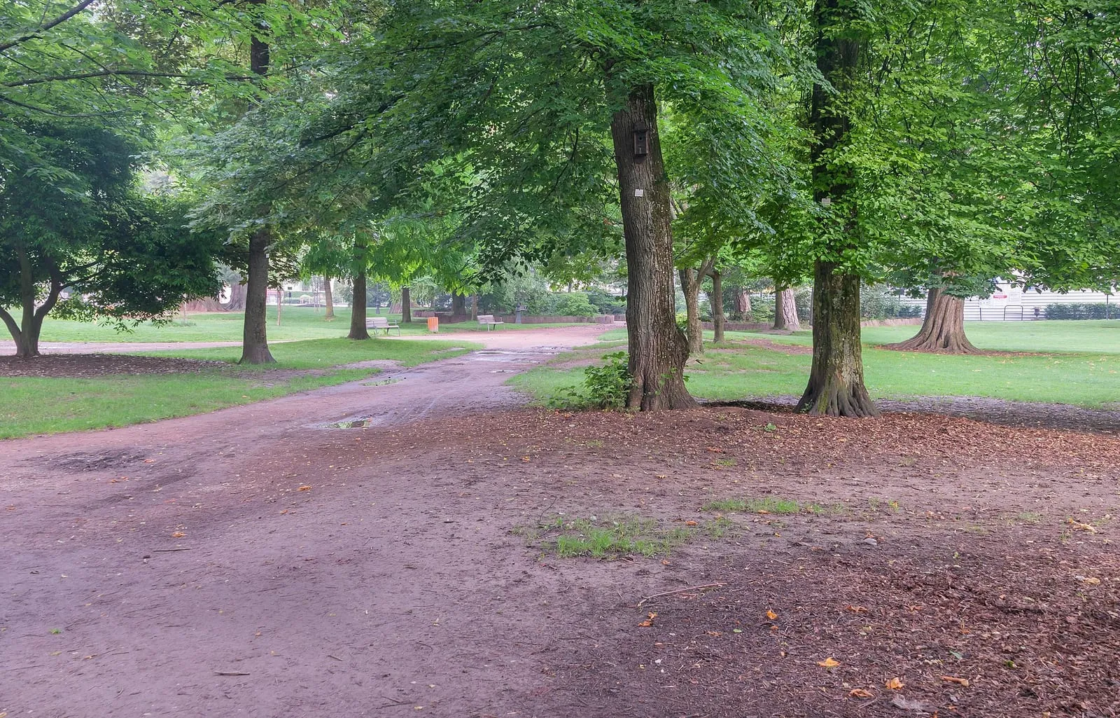 Une allée et une pelouse des jardins de l'Europe, à Annecy