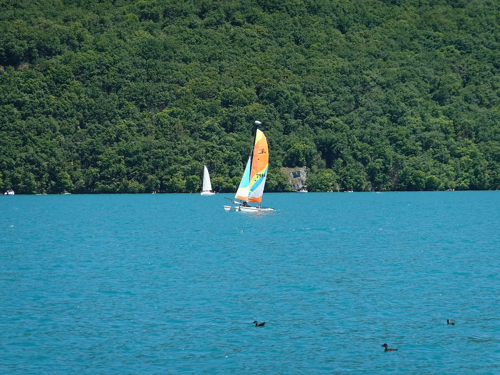 Un catamaran au mouillage devant la rive de Saint-Jorioz, sur le lac d'Annecy