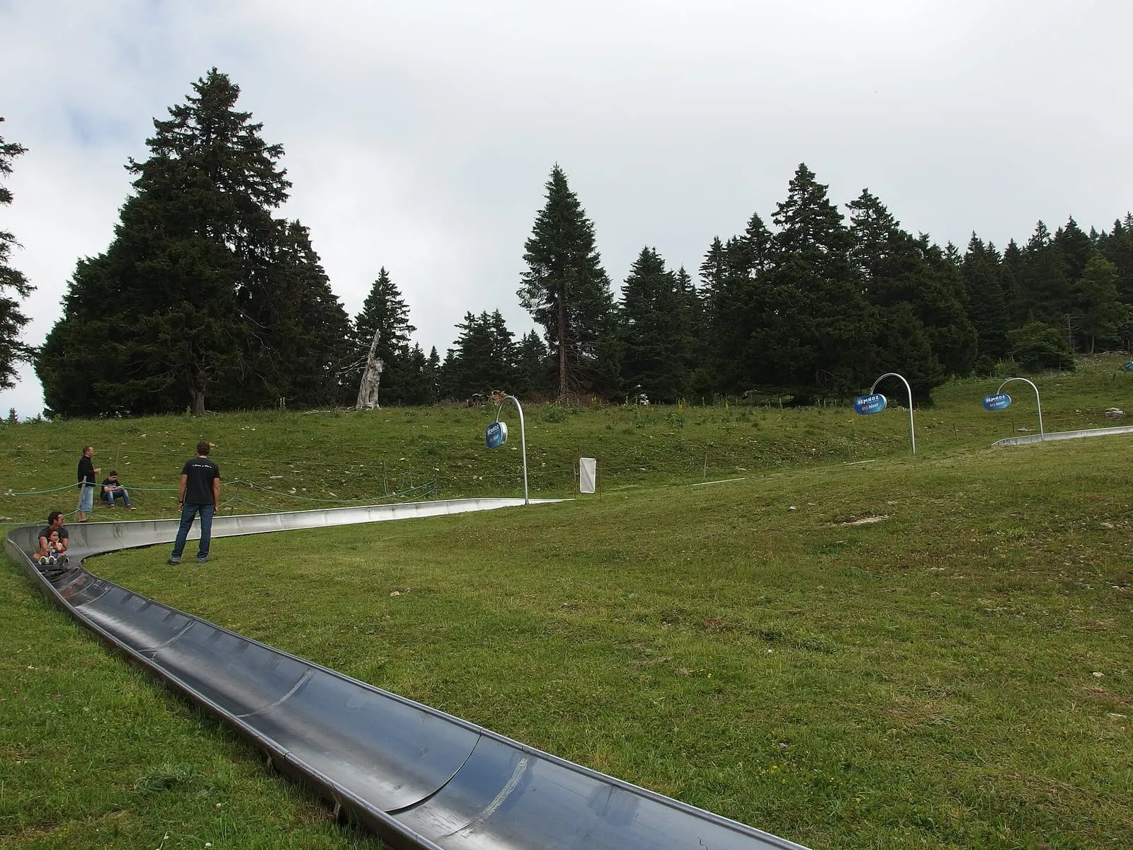Une descente de luge d'été sur les pentes du Semnoz, au-dessus d'Annecy