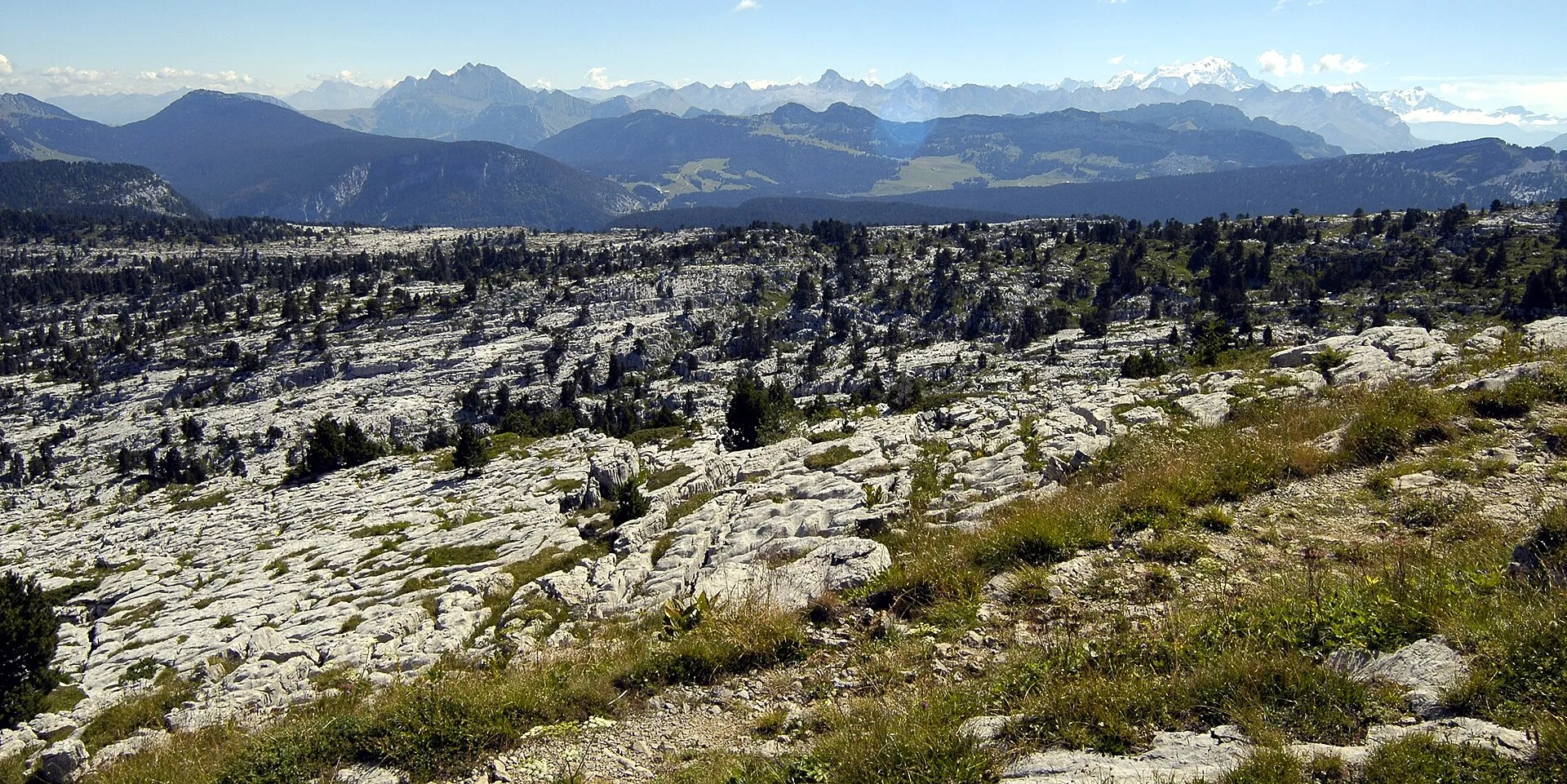 Les lapiaz du plateau du Parmelan
