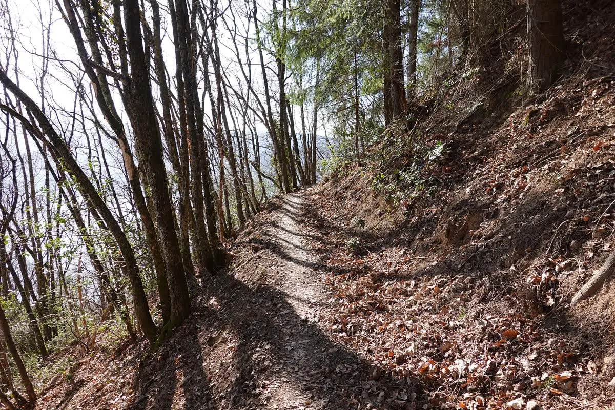 Le sentier caillouteux de la montée au mont Veyrier, en sous-bois, au-dessus du lac d'Annecy