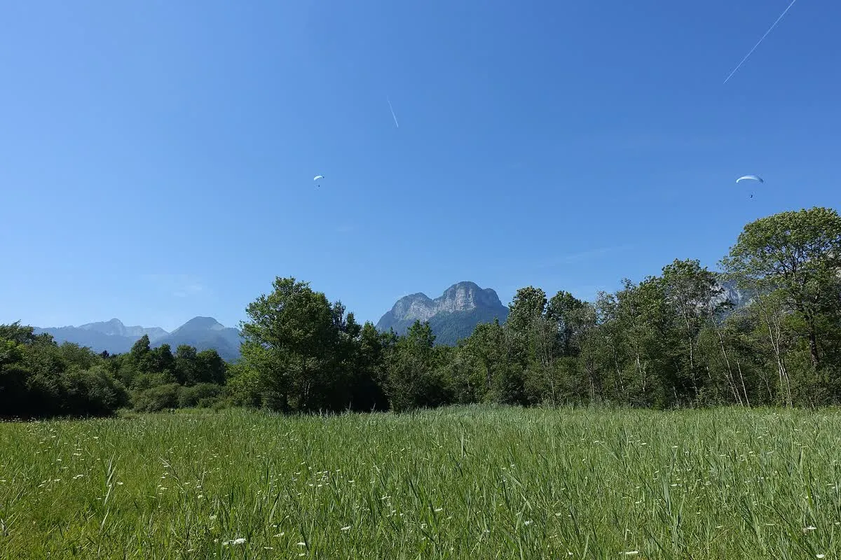 La réserve naturelle du Bout du lac d'Annecy, à Doussard, entre roselières et eaux calmes