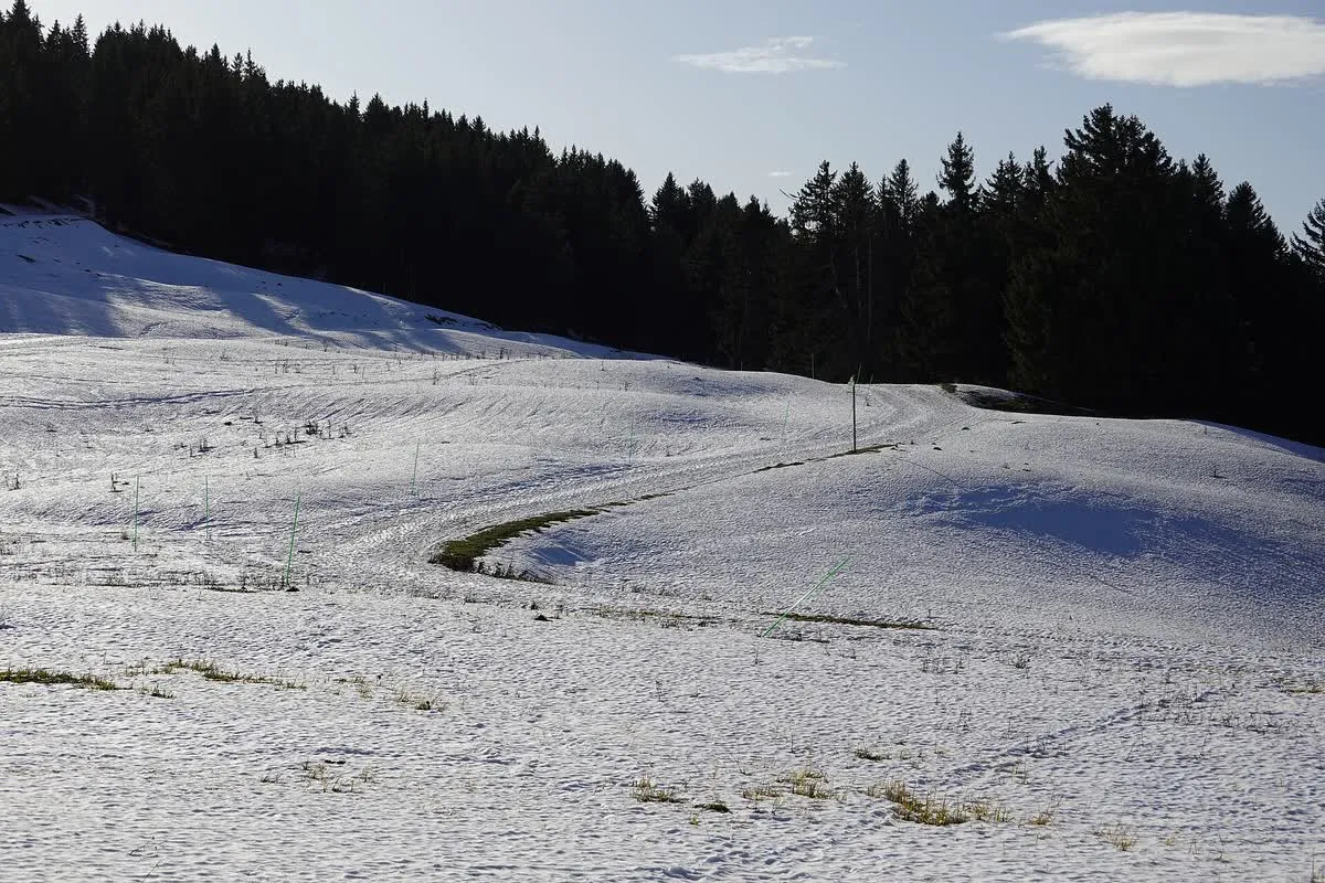 Neige et pistes tracées sur le secteur du Berger, l'un des trois secteurs du domaine nordique du Semnoz